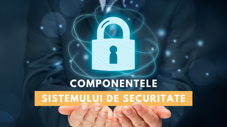 Componentele sistemului integrat de securitate