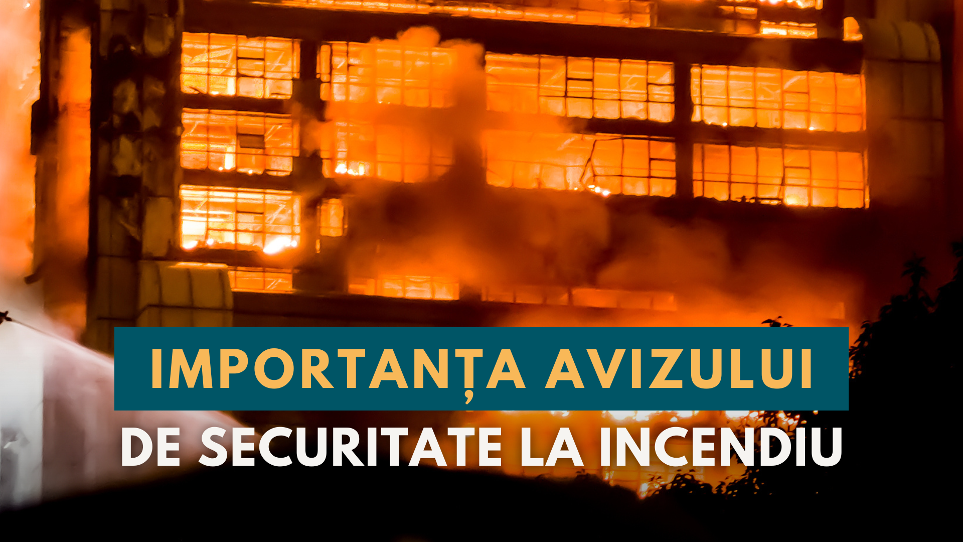 Importanța avizului ISU - Media Connect