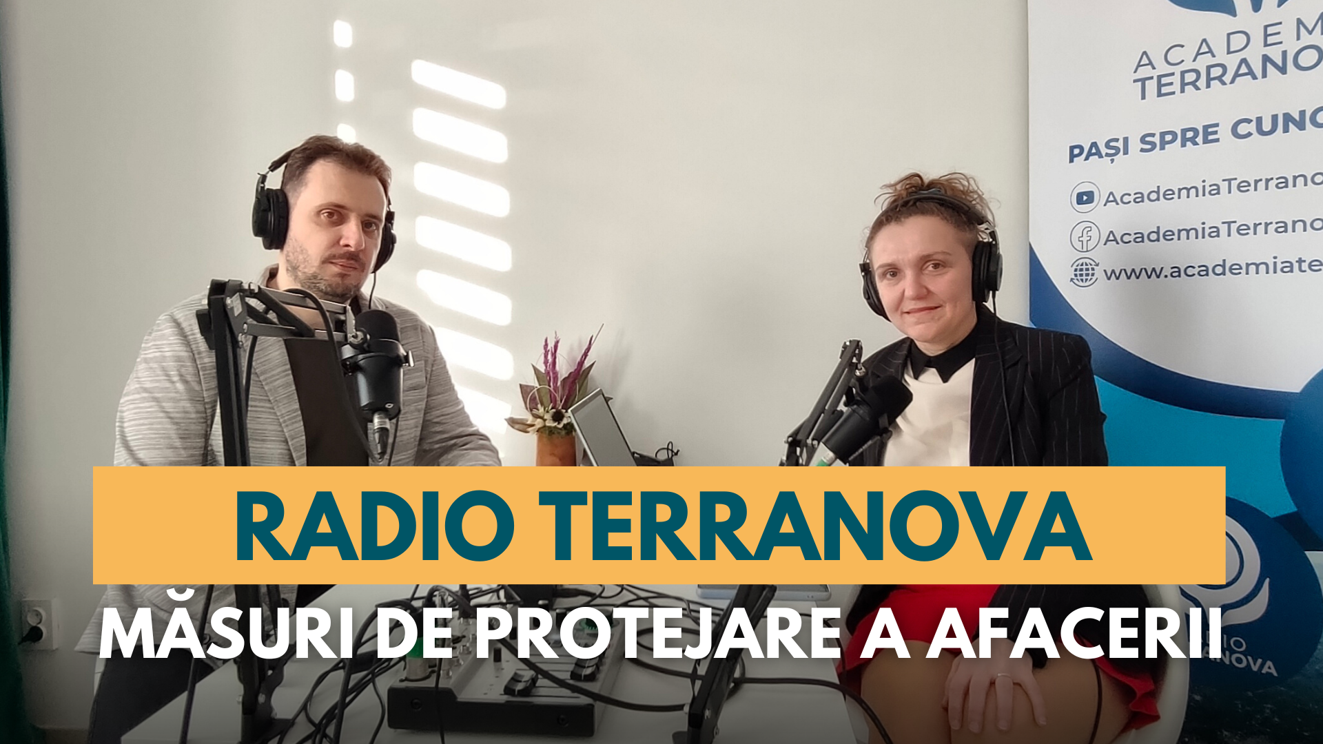 Radio terranova - Masuri de protejare a afacerii